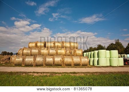 Bale Of Straw Infold In Plastic Film (foil) To Keep Dry In Automn In Intensive Colors