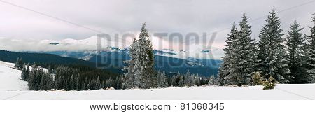 Winter Landscape