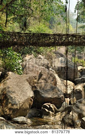 Old Root Bridge In India