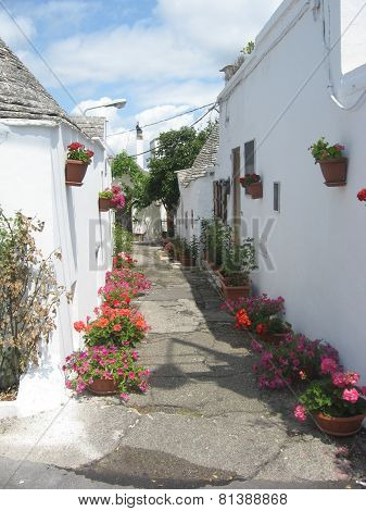the narrow streets of the South