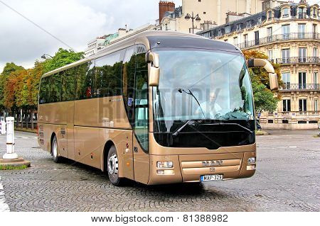 Man R08 Lion's Coach