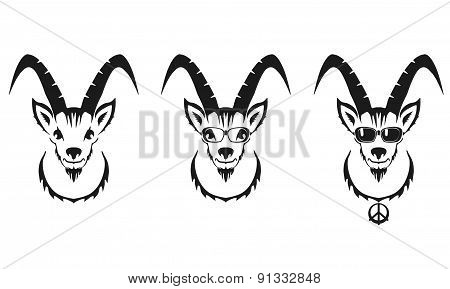 Chinese Symbol Vector Goat Illustration Image Design