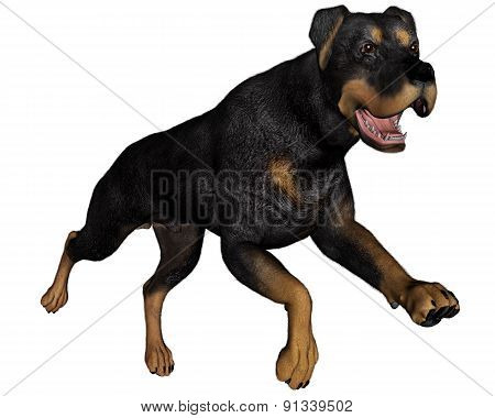 Rottweiller dog running - 3D render