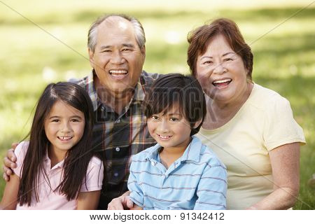Portrait Asian grandparents and grandchildren in park
