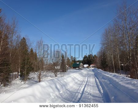 Road in the snow and forest around