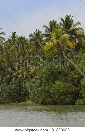 Allepey Backwaters Boats In Kerala State, India