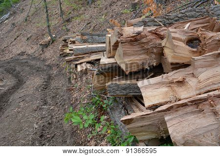 Logs Near Road