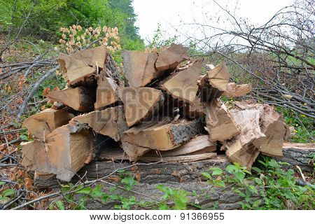 Pile Of Logs