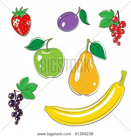 Fruit Set
