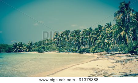 Tropical Paradise