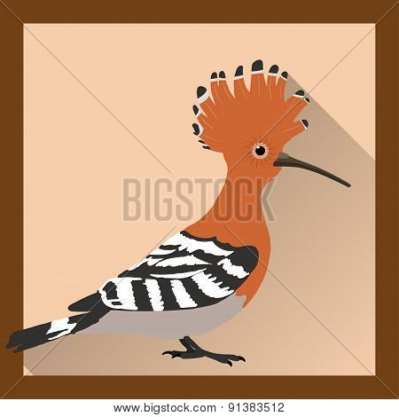 Bright Hoopoe
