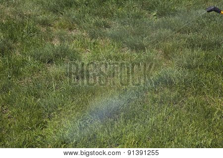 Device Of Spraying Pesticide.