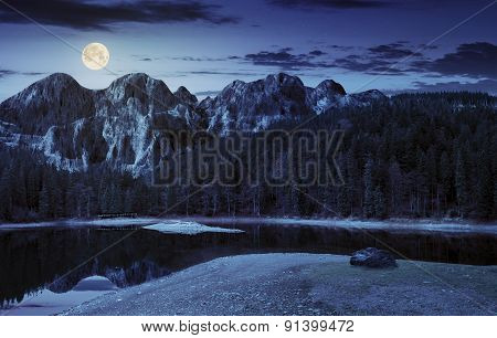 Lake Near The Mountain In Pine Forest At Night