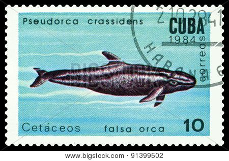 Vintage  Postage Stamp. False Killer Whale.