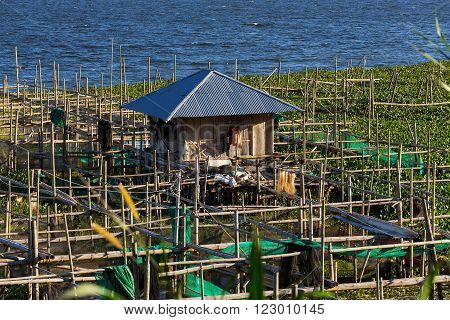 Fish Farm At Lake Tondano