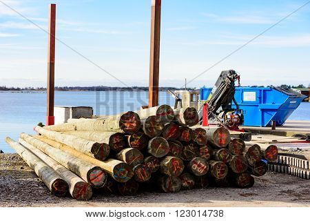 Timber Poles