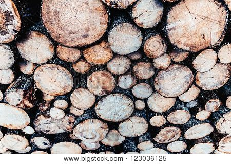 timber rustic, rural, vintage, weathered, wooden, wood, barnwood, cabinwood