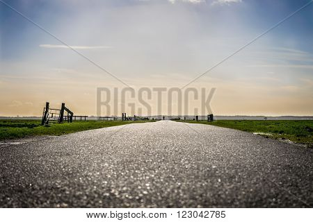 the road leading to beautiful sunlight in rural holland