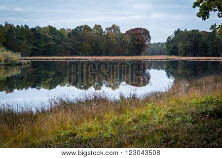 Still lake in nature reservation Hilversum. Hilversums Wasmeer