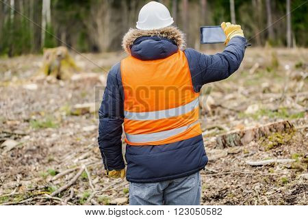 Forest inspector with tablet PC filmed clearcutting forest