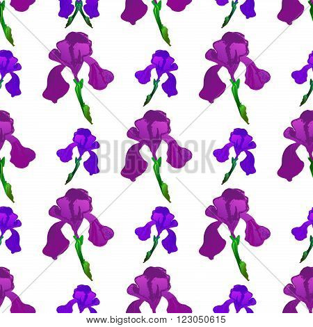 Seamless floral pattern with purple and pink irises