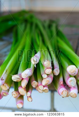 Abstract background from the rhizomes and stems Acorus calamus