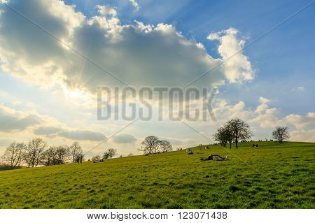 Early spring Primrose Hill Park in London England UK with blue sky