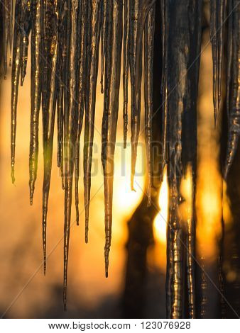 Abstract background of natural icicle formation through glass as morning sun rises.  Long icicles on a wintry January morning. Sunshine dawning through icicles that hang low from a roof's edge.