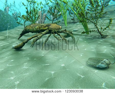 An 3D illustration of Eurypterus (Sea Scorpion) chasing a Trilobite in an underwater scene from the Ordovician Period (300 million years ago)