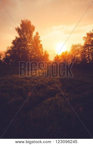 Foggy sunrise at grassland behind trees filter edit
