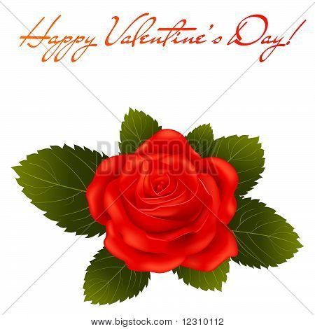 Kırmızı gül. Sevgililer Günü tebrik kartı