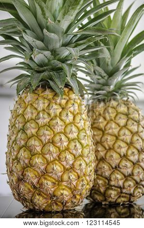 Closeup of two whole pineapples sitting on a kitchen bench