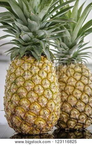 Closeup of two whole pineapples sitting on a kitchen bench