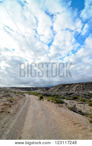 Volcanic Rock Basaltic Formation in Canary Islands