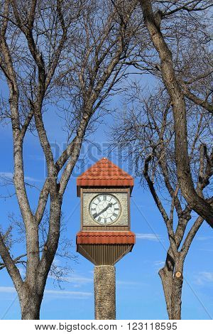 Clock tower framed by trees against a blue sky.