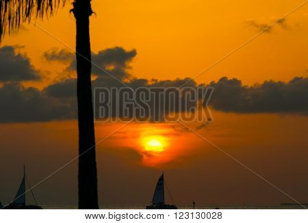 KEY WEST, USA - MAY 10, 2015: Sunset above the Key West Bight on a tangerine sky with some clouds and silhouettes of sailing ships and a palm tree.
