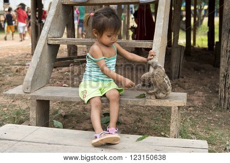 Boca de Valeria village at Amazon river Brazil - December 03 2015: View on one small mullato girl sitting on wooden stairs and playing wild animal of sloth grey color outdoor horizontal picture