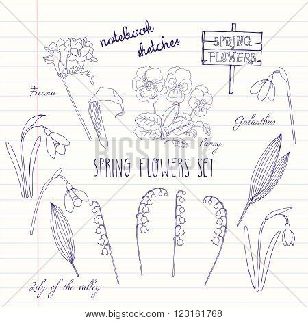 Background with  lily of the valley, galanthus and pansy. Hand drawn snowdrops flowers sketches. Vector Illustration