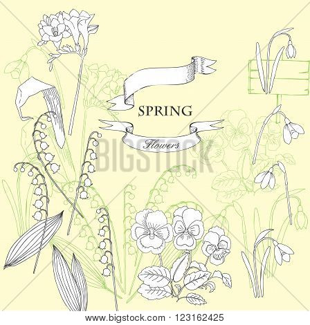 Background with  lily of the valley, galanthus and pansy. Hand drawn snowdrops flowers sketches. Vector Illustration