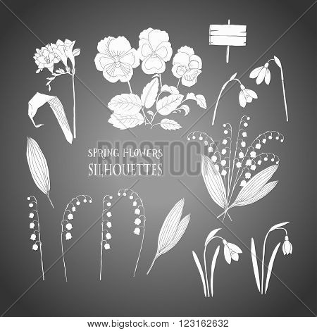 Background with  lily of the valley, galanthus and pansy. Hand drawn snowdrops flowers sketches. Vector Illustration