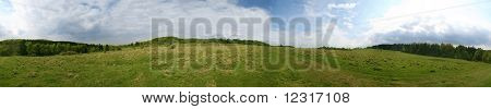 360° panorama of a meadow