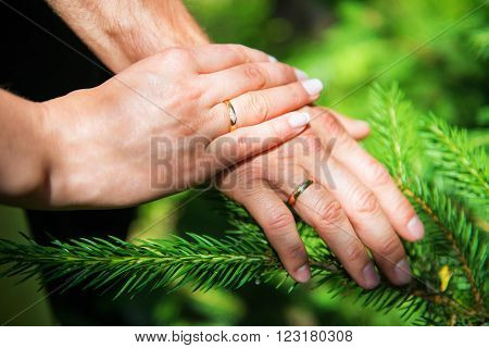 Just married bride and groom holding hands with bench