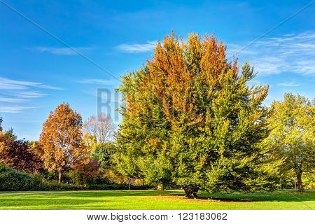 Autumn In Hamburg