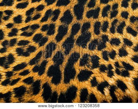 texture and pattern of leopard for background
