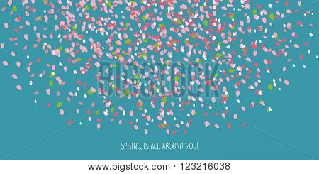 'Spring is all around you!' card. Cherry petals. Sakura blossom. Scattering of tiny pink petals. Floral background with copy space. Hanami. Japanese Culture. Cherry blossom viewing.