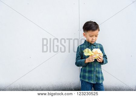 Boy Eating Burger