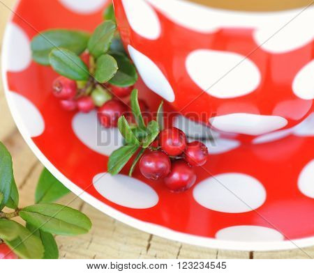Cowberry (Vaccinium vitis idaea) tea. Close up