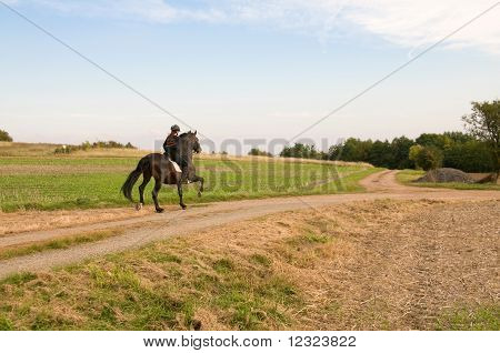 Equestrienne i konia.