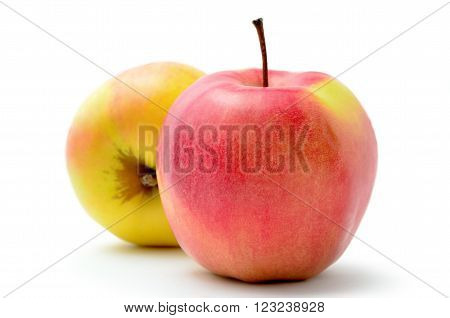 Red, ripe apples Jonagold isolated on white background