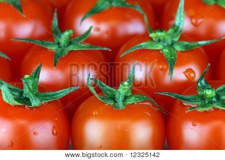 Tomate